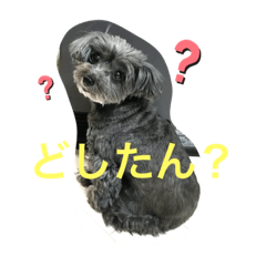 toko_20191027200929