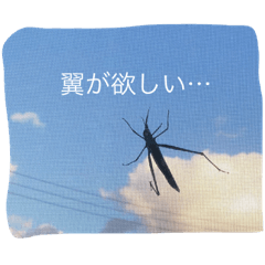 askeke stamps insectsofmind