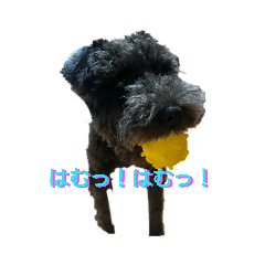 hide_20191027195851