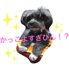 toko_20191027212526