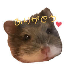 mina_20191027215355