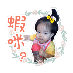 ❤️ 珊寶表情包❤️