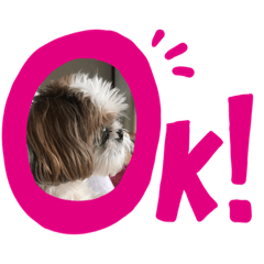 Kitty_20191027213537