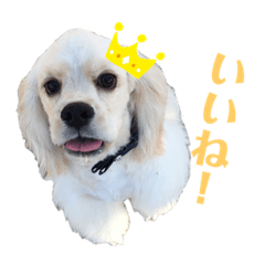mina_20191028013112