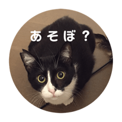 nyanya-chan stamp