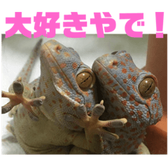 kao_20191028103801