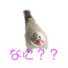 siro_20191028110011