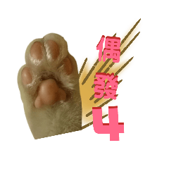 小寶貝有話要說