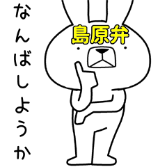 Dialect rabbit [shimabara3]