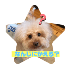 junjun_20191028141153
