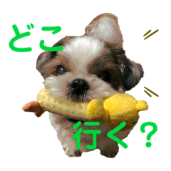 mimi_20191028145139
