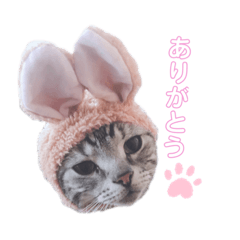 mina_20191028145541
