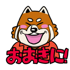 Red panda who speaks Kansai dialect