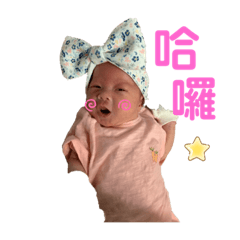 菲菲寶包1