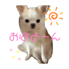 nanami_20191028180140