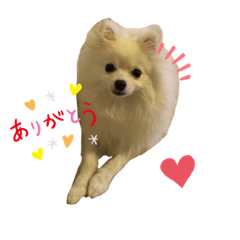 asuka_20191028182826