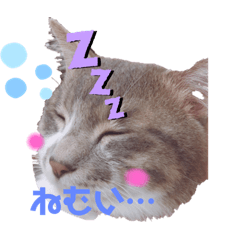 mayumi_20191028184639