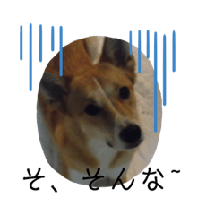 Omame_20191028211325