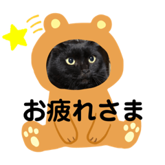 Nyanko_20191028213807