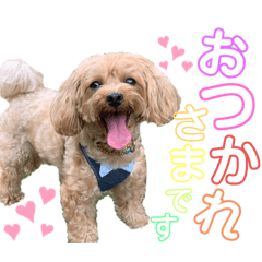 chiharu_20191028213457