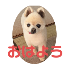 shunsuke_201910282