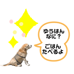 jun_20191028224529