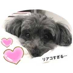 toko_20191028233315
