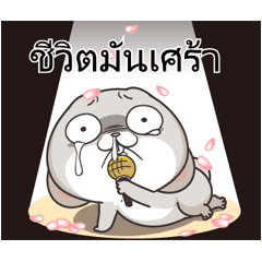 กระต่ายจอมป่วน