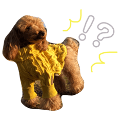 blair.w_20191029023957