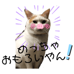 lapin_20191029084034