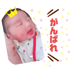 pon_20191029110809