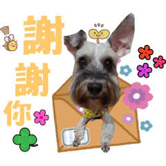 胖 達