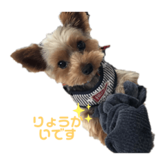 chihiro_20191029135042