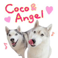 Coco&Angel with Friends