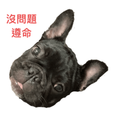 我是豆豆～