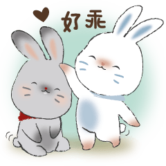 YingYing ang ZhanZhan rabbits (TAIWAN)