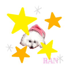 yurina_20191029151712