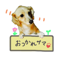 mayu_201910291634268