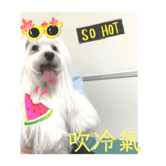 好好吃的冰棒