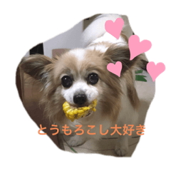miyuki_20191029180254