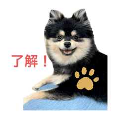 kurosan_20191029105043