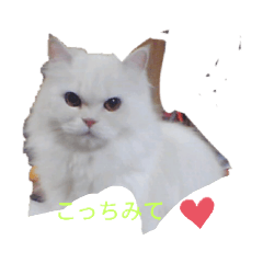 yukari_20191029185229