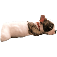 akane_20191029190527