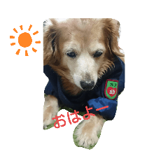 Yappy_20191029213039