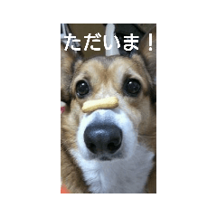 kawaii2hiki