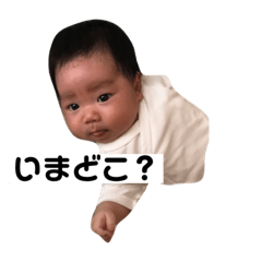 ume_20191029215049