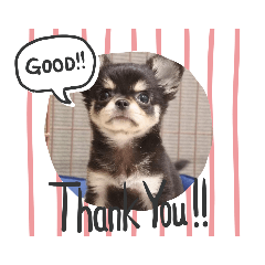 Michiko_20191029235646