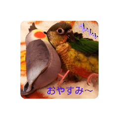 chie_20191029151606