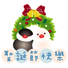 かわいい黒と白の鳥（クリスマス）