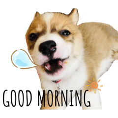 波特娜娜の襲擊